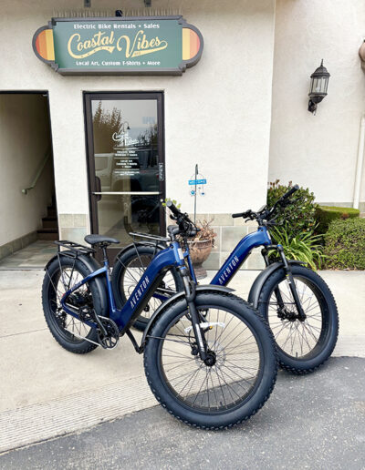 Aventon Aventure 3